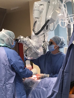 Dott.ssa Raffaella Maina